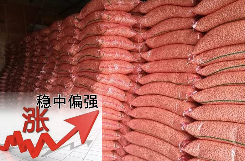 花生價(jià)格持續偏強，需要訂貨的請提前安排